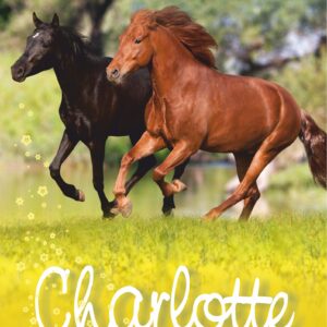 Tytuł: Charlotte i druga szansa
Autor: Nele Neuhaus
Wydawnictwo: Media Rodzina
Formaty: EPUB, MOBI
