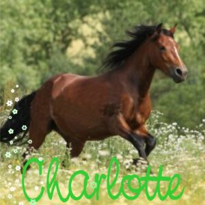 Tytuł: Charlotte i koń marzeń
Autor: Nele Neuhaus
Wydawnictwo: Media Rodzina
Formaty: EPUB, MOBI
