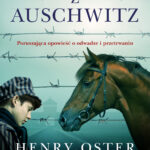 Chłopiec z Auschwitz — okładka e-booka