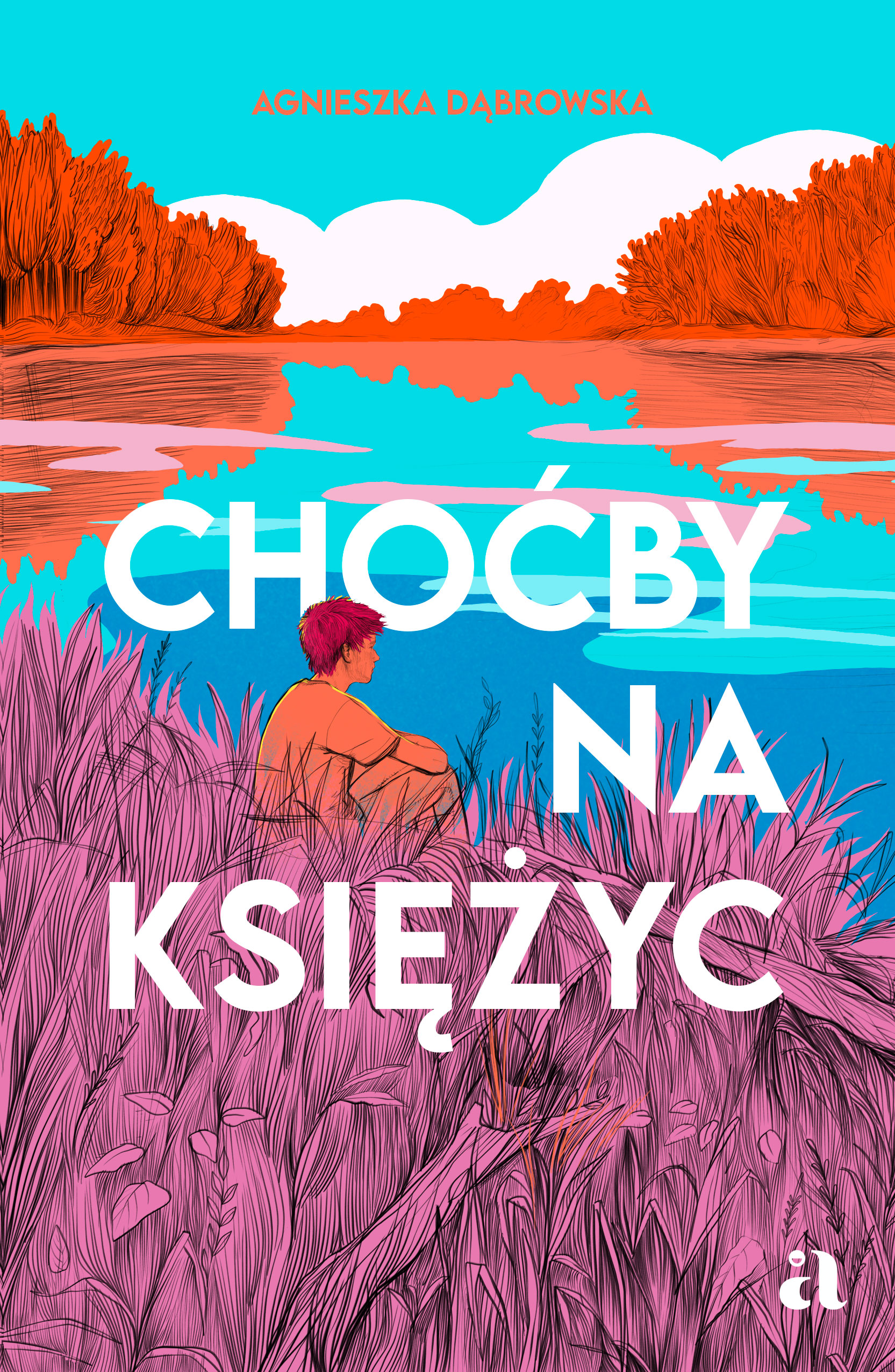 Tytuł: Choćby na księżyc
Autor: Agnieszka Dąbrowska
Wydawnictwo: Wydawnictwo Agora dla dzieci
Formaty: EPUB, MOBI