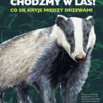 Tytuł: Chodźmy w Las! Co się kryje między drzewami
Autor: Dariusz Dziektarz
Wydawnictwo: Powergraph
Formaty: EPUB, MOBI