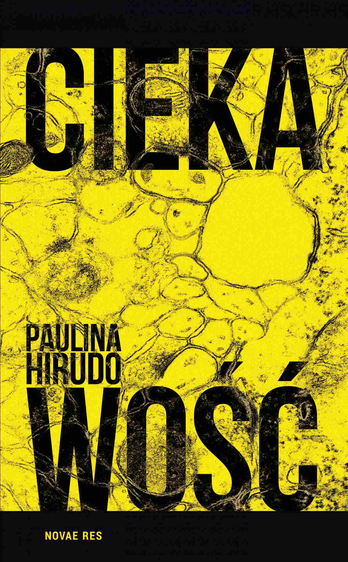 Tytuł: Ciekawość
Autor: Paulina Hirudo
Wydawnictwo: Novae Res
Formaty: EPUB