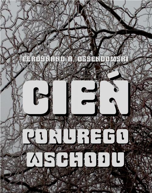 Tytuł: Cień ponurego Wschodu. Za kulisami życia rosyjskiego
Autor: Antoni Ferdynand Ossendowski
Wydawnictwo: Armoryka
Formaty: EPUB, MOBI