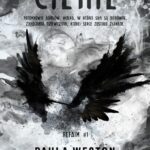 Tytuł: Cienie
Autor: Paula Weston
Wydawnictwo: Nowe Strony
Formaty: EPUB, MOBI, PDF