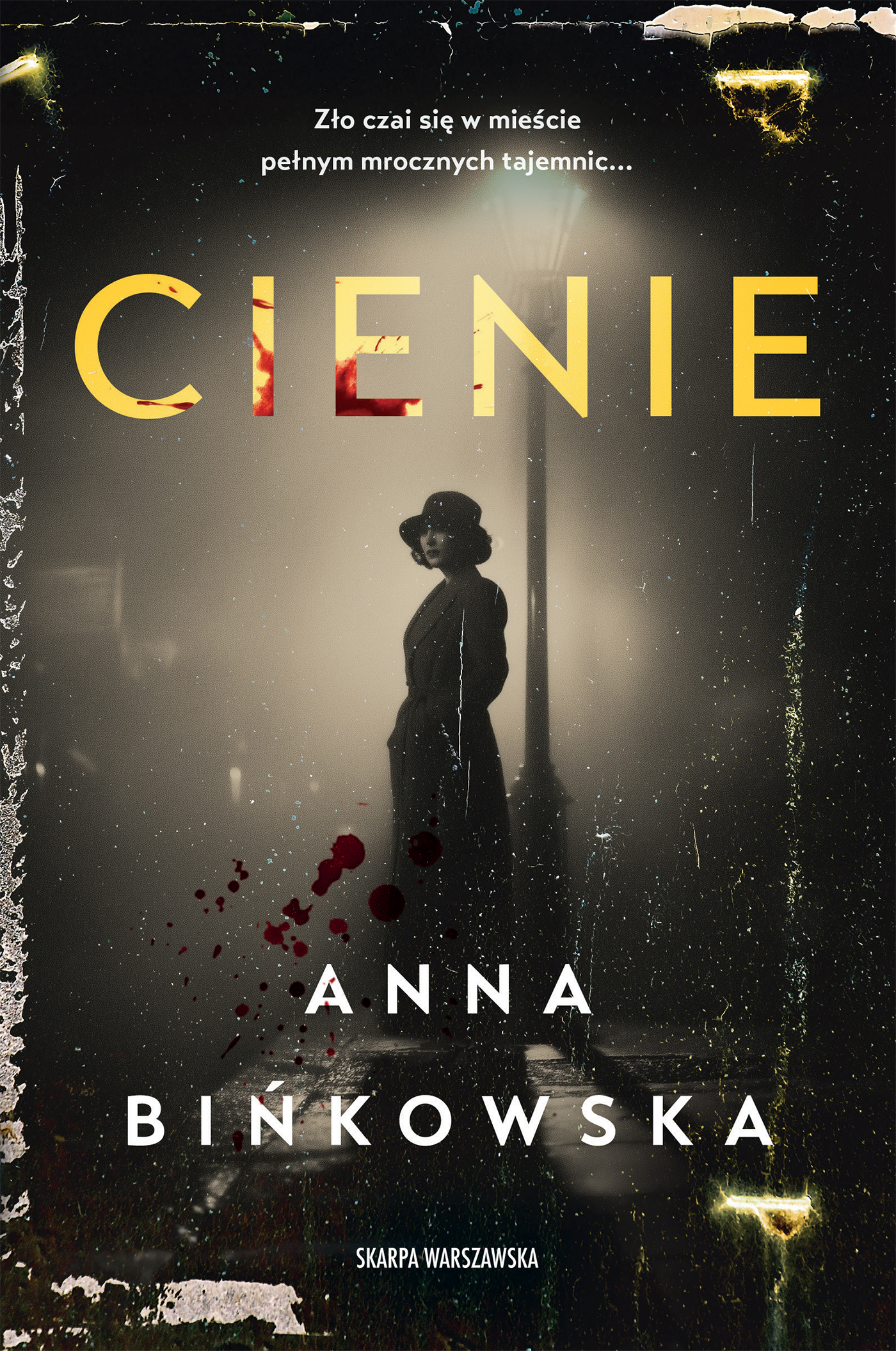 Tytuł: Cienie
Autor: Anna Bińkowska
Wydawnictwo: Skarpa Warszawska
Formaty: EPUB, MOBI