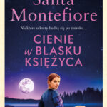 Cienie w blasku księżyca — okładka e-booka