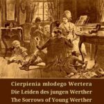 Tytuł: Cierpienia młodego Wertera
Autor: Johann Wolfgang von Goethe
Wydawnictwo: Armoryka
Formaty: MOBI, EPUB