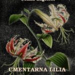 Cmentarna lilia — okładka e-booka