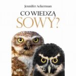 Co wiedzą sowy? — okładka e-booka