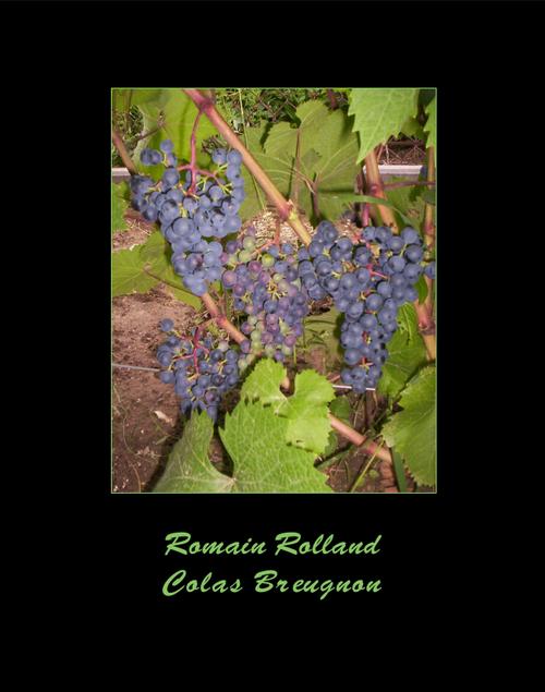 Tytuł: Colas Breugnon
Autor: Romain Rolland
Wydawnictwo: Armoryka
Formaty: MOBI, EPUB