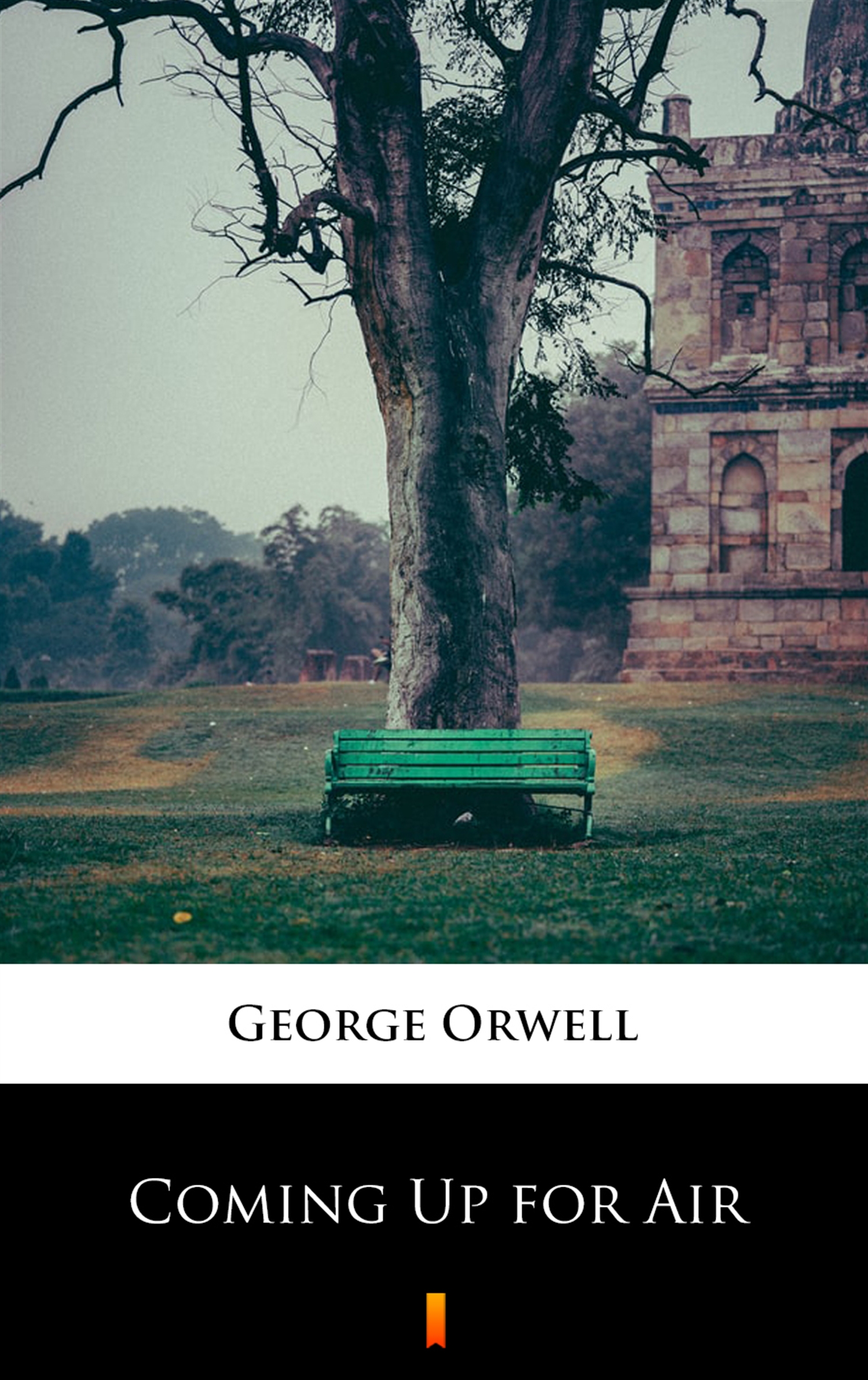Tytuł: Coming Up for Air
Autor: George Orwell
Wydawnictwo: KtoCzyta.pl
Formaty: EPUB, MOBI