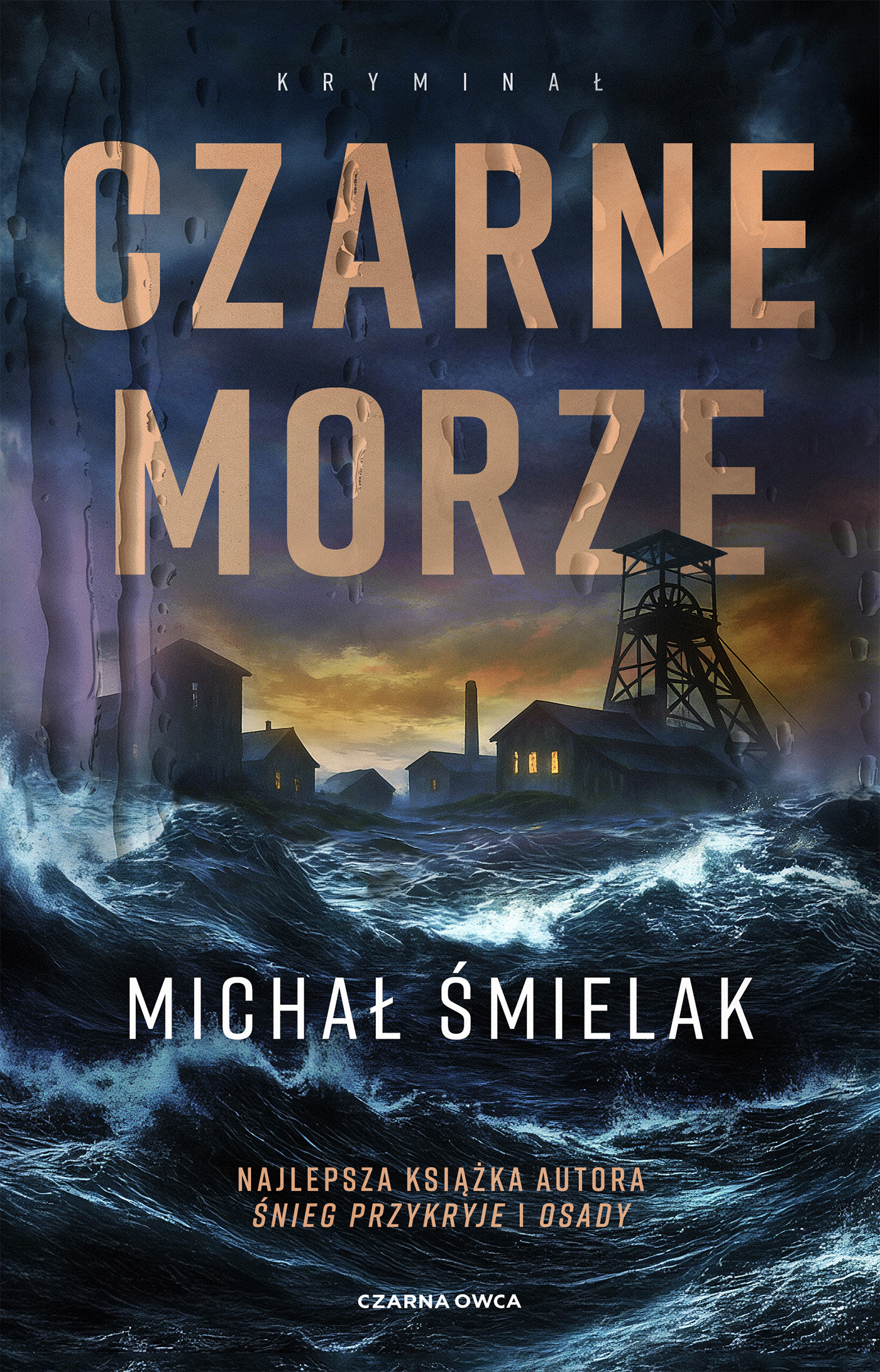 Tytuł: Czarne Morze
Autor: Michał Śmielak
Wydawnictwo: Wydawnictwo Czarna Owca
Formaty: EPUB, MOBI
