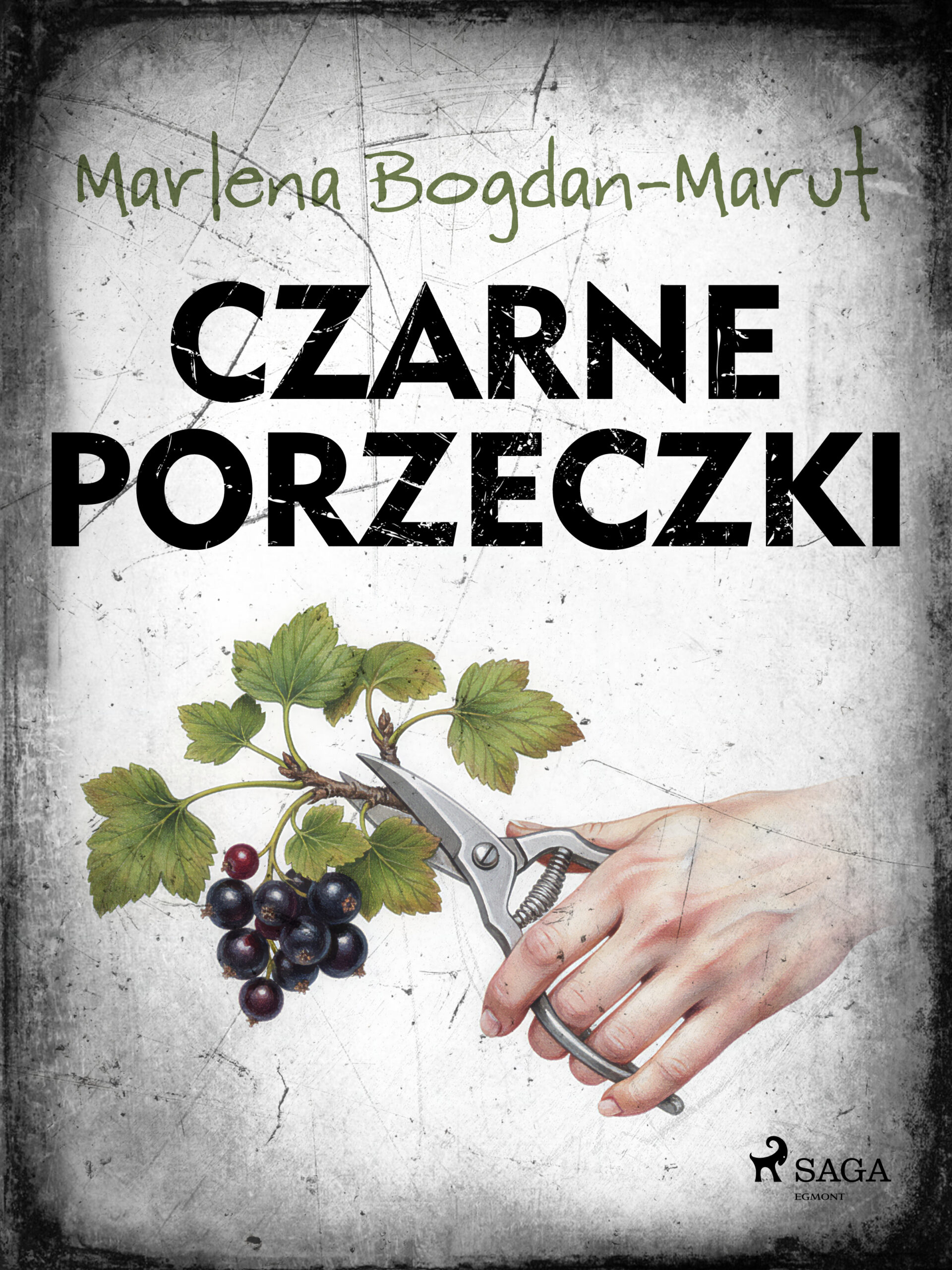 Czarne porzeczki — okładka e-booka