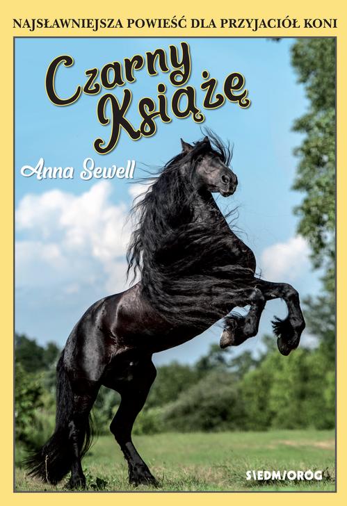 Tytuł: Czarny Książę
Autor: Anna Sewell
Wydawnictwo: Siedmioróg
Formaty: EPUB, MOBI