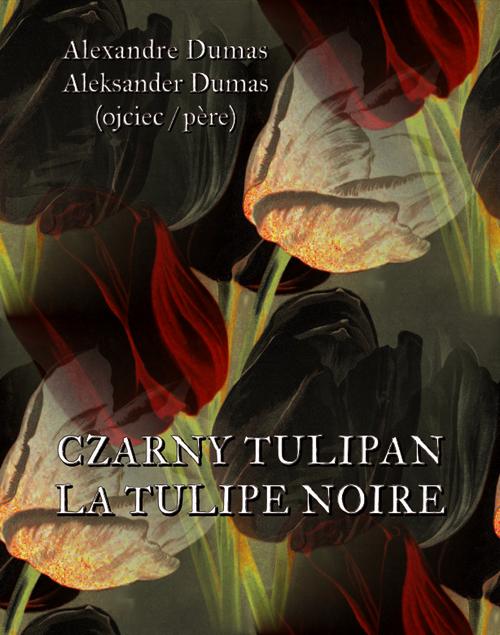 Tytuł: Czarny tulipan. La tulipe noir
Autor: Aleksander Dumas
Wydawnictwo: Armoryka
Formaty: MOBI, EPUB