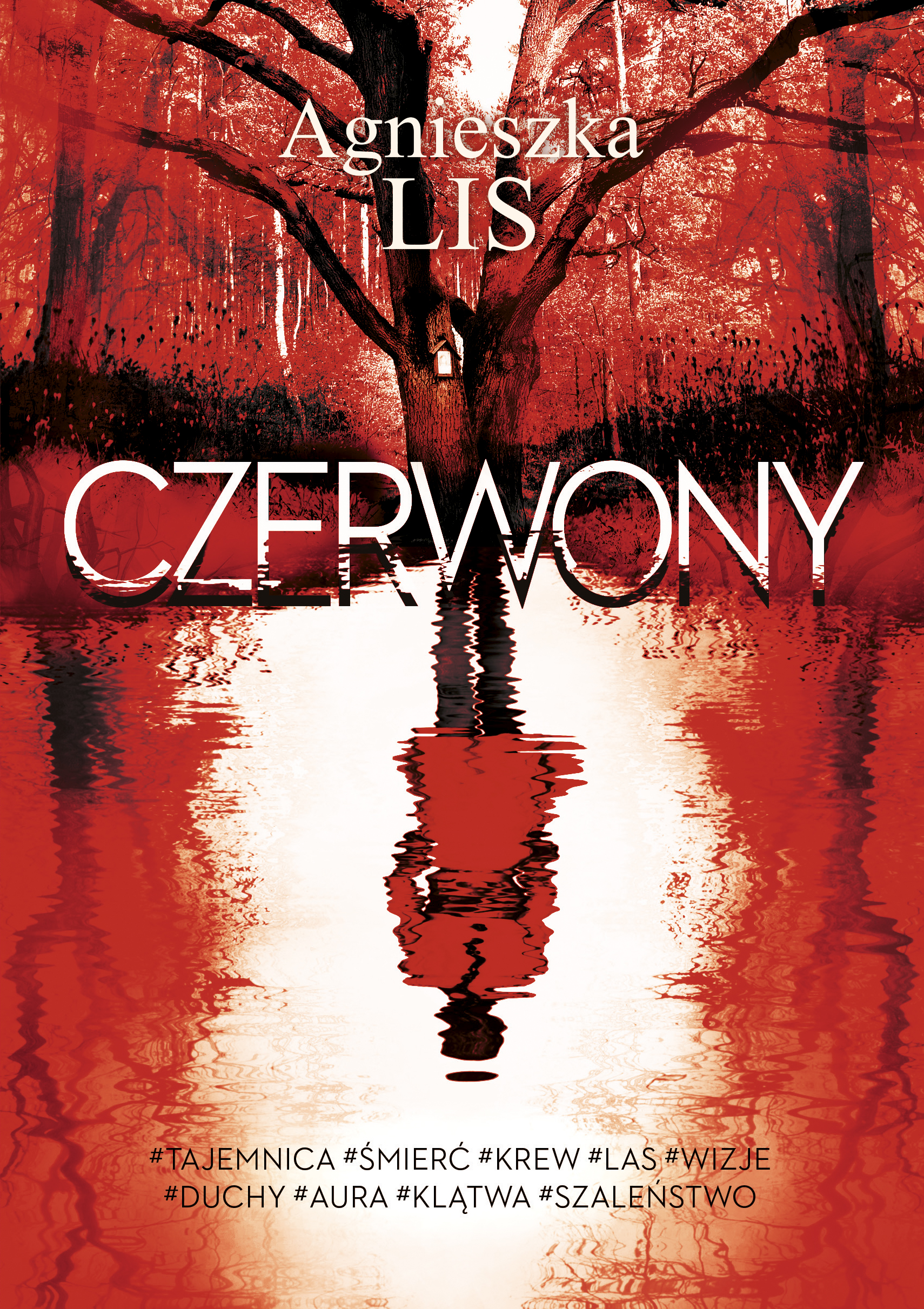 Tytuł: Czerwony
Autor: Agnieszka Lis
Wydawnictwo: Purple Book
Formaty: EPUB, MOBI