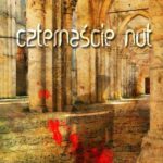 Tytuł: Czternaście nut
Autor: Krzysztof Łanda, Jan Bielecki
Wydawnictwo: Wydawnictwo e-bookowo
Formaty: MOBI, EPUB, PDF