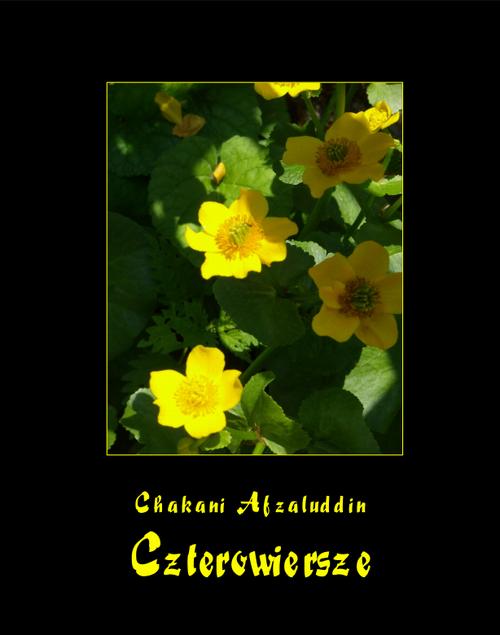 Tytuł: Czterowiersze Chakaniego
Autor: Chakani Afzaluddin
Wydawnictwo: Armoryka
Formaty: EPUB, MOBI