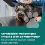 Tytuł: Czy właściciel ma obowiązek chodzić z psem do weterynarza?
Autor: Marzena Pytlarz-Pietraszko
Wydawnictwo: Wiedza i Praktyka
Formaty: PDF