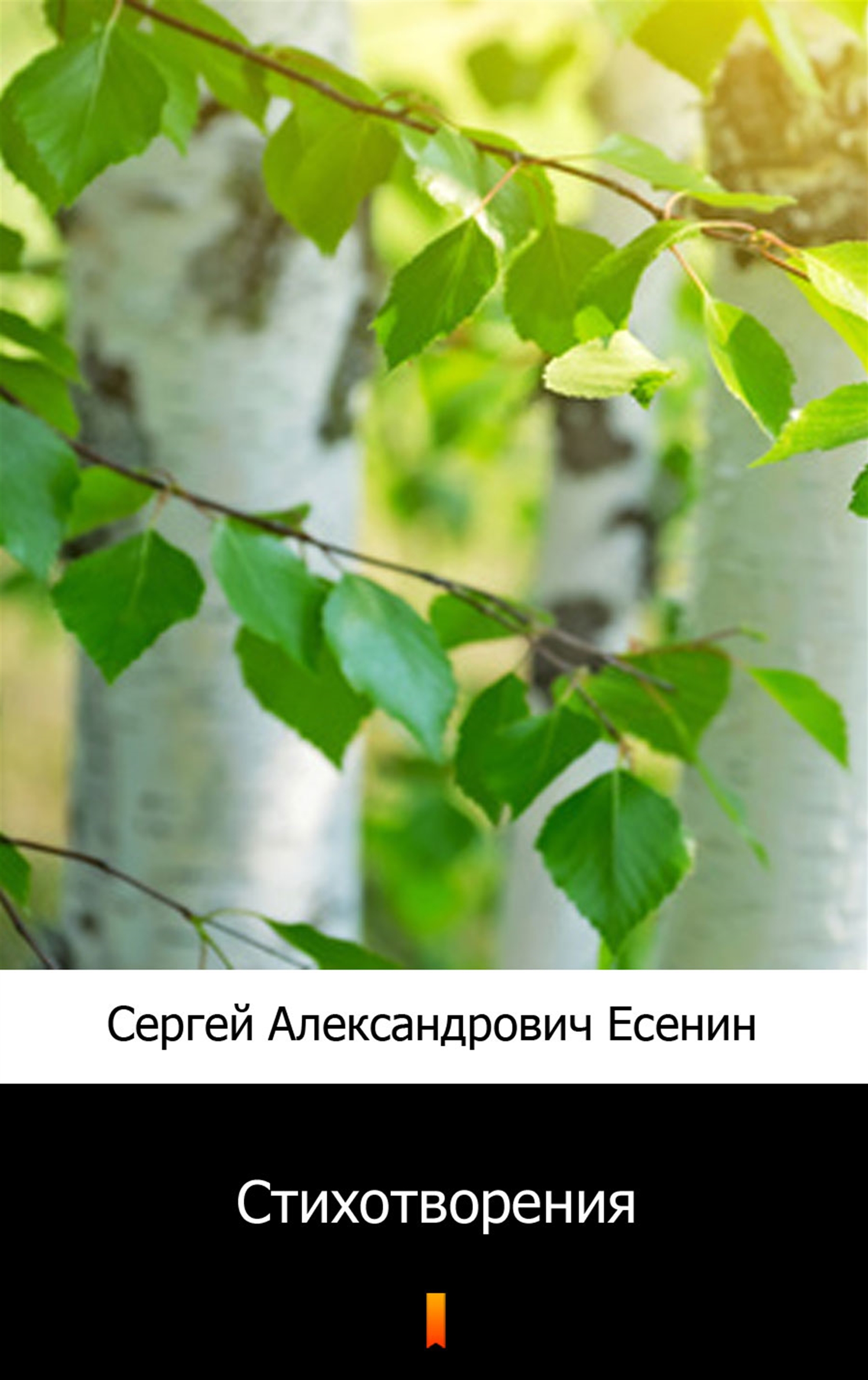 Tytuł: Стихотворения (Wiersze)
Autor: Сергей Александрович Есенин, Siergiej Aleksandrowicz Jesienin
Wydawnictwo: KtoCzyta.pl
Formaty: EPUB, MOBI