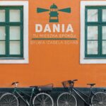 Tytuł: Dania. Tu mieszka spokój
Autor: Sylwia Izabela Schab
Wydawnictwo: Poznańskie
Formaty: EPUB, MOBI