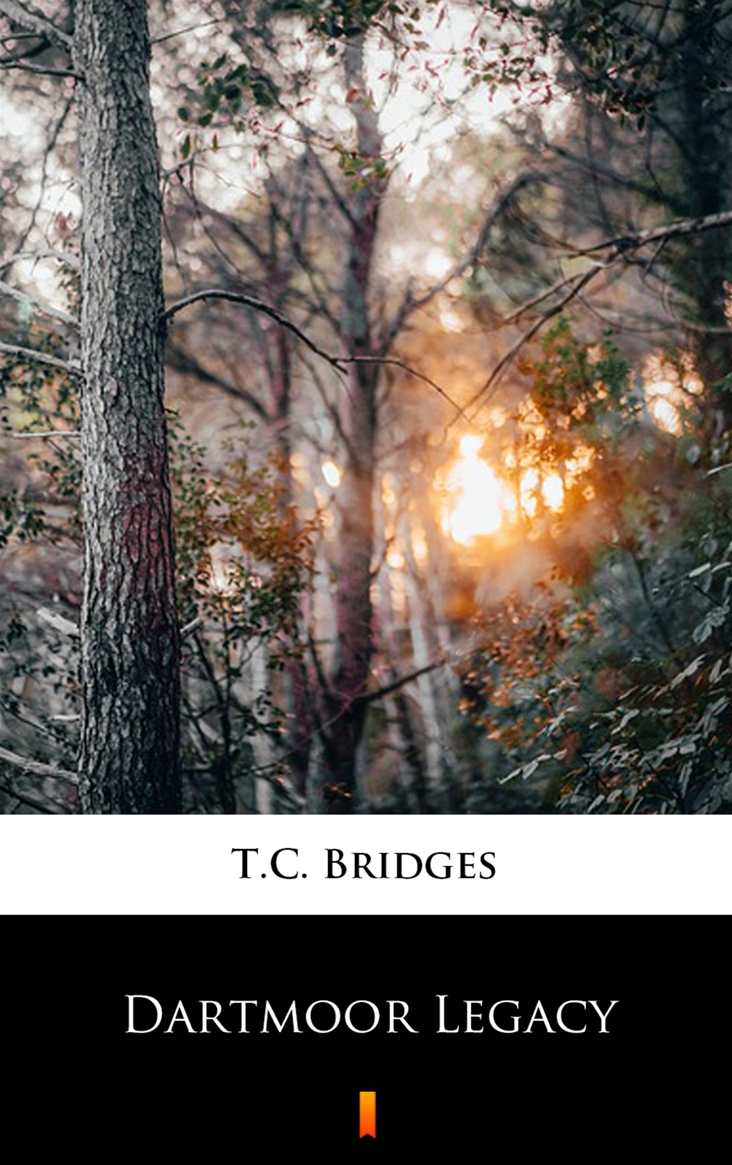 Tytuł: Dartmoor Legacy
Autor: T.C. Bridges
Wydawnictwo: KtoCzyta.pl
Formaty: EPUB, MOBI