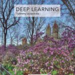 Tytuł: Deep Learning
Autor: 
Wydawnictwo: Wydawnictwo Naukowe PWN
Formaty: PDF
