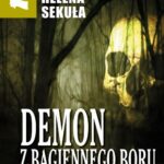 Demon z Bagiennego Boru — okładka e-booka