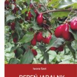Tytuł: Dereń jadalny (Cornus mas L.)
Autor: Iwona Szot
Wydawnictwo: Uniwersytet Przyrodniczy w Lublinie
Formaty: PDF