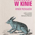 Deziluzja w kinie. Wybór przekładów — okładka e-booka