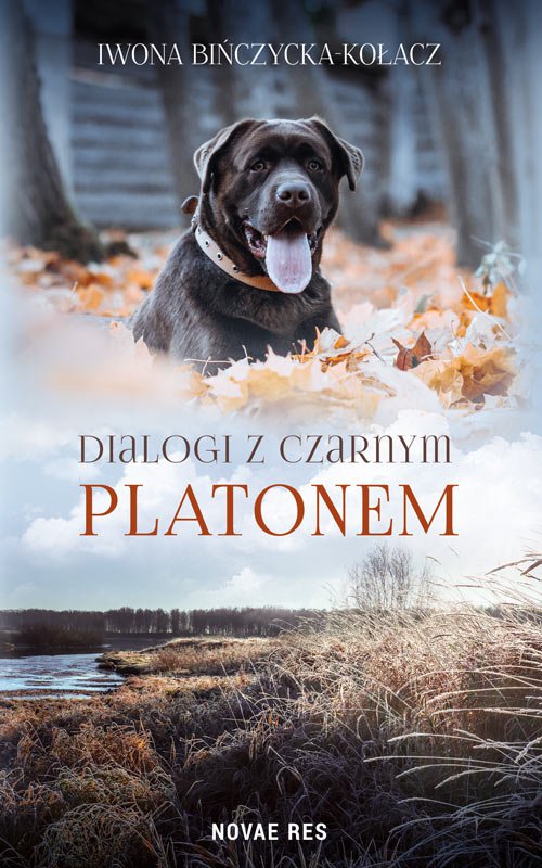 Dialogi z czarnym Platonem — okładka e-booka