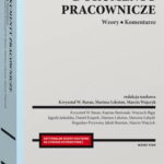Tytuł: Dokumenty pracownicze. Wzory. Komentarze
Autor: Marcin Wujczyk, Mariusz Lekston, Krzysztof Wojciech Baran
Wydawnictwo: Wolters Kluwer
Formaty: PDF