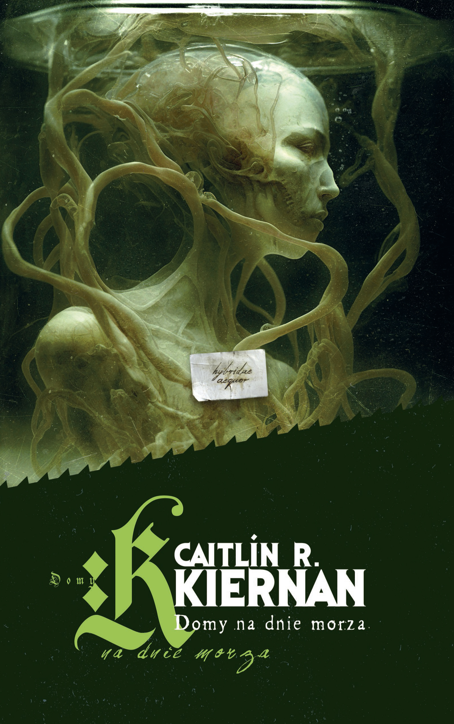 Tytuł: Domy na dnie morza
Autor: Caitlin R. Kiernan
Wydawnictwo: MAG
Formaty: EPUB, MOBI