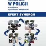 Tytuł: Doskonalenie lokalne w Policji a współpraca z podmiotami zewnętrznymi
Autor: Jadwiga Stawnicka
Wydawnictwo: Wydawnictwo Uniwersytetu Śląskiego
Formaty: PDF
