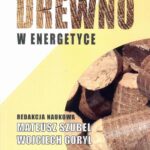 Tytuł: Drewno w energetyce
Autor: 
Wydawnictwo: Wydawnictwo Naukowe E Book
Formaty: PDF