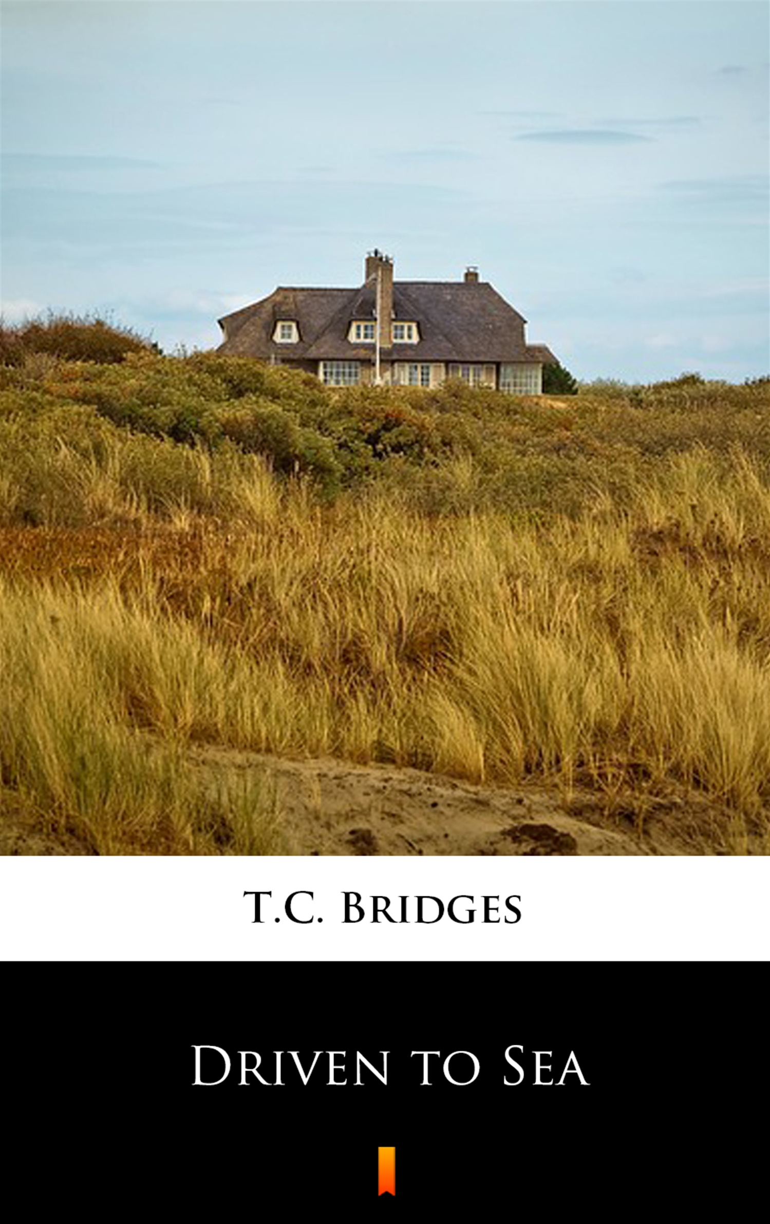 Tytuł: Driven to Sea
Autor: T.C. Bridges
Wydawnictwo: KtoCzyta.pl
Formaty: EPUB, MOBI