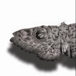 Droga do zatracenia — okładka e-booka
