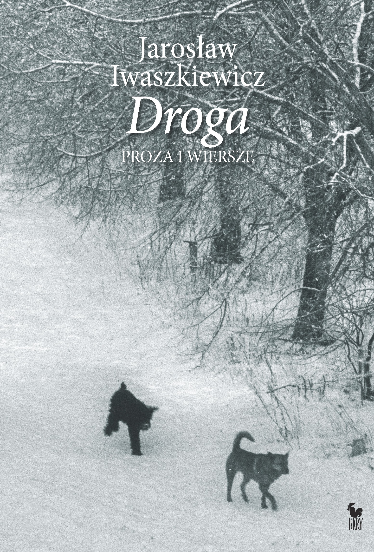 Tytuł: Droga. Proza i wiersze
Autor: Jarosław Iwaszkiewicz
Wydawnictwo: Wydawnictwo Iskry
Formaty: EPUB, MOBI