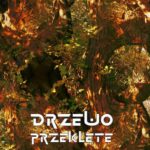 Drzewo przeklęte. Antologia mrocznych opowieści — okładka e-booka