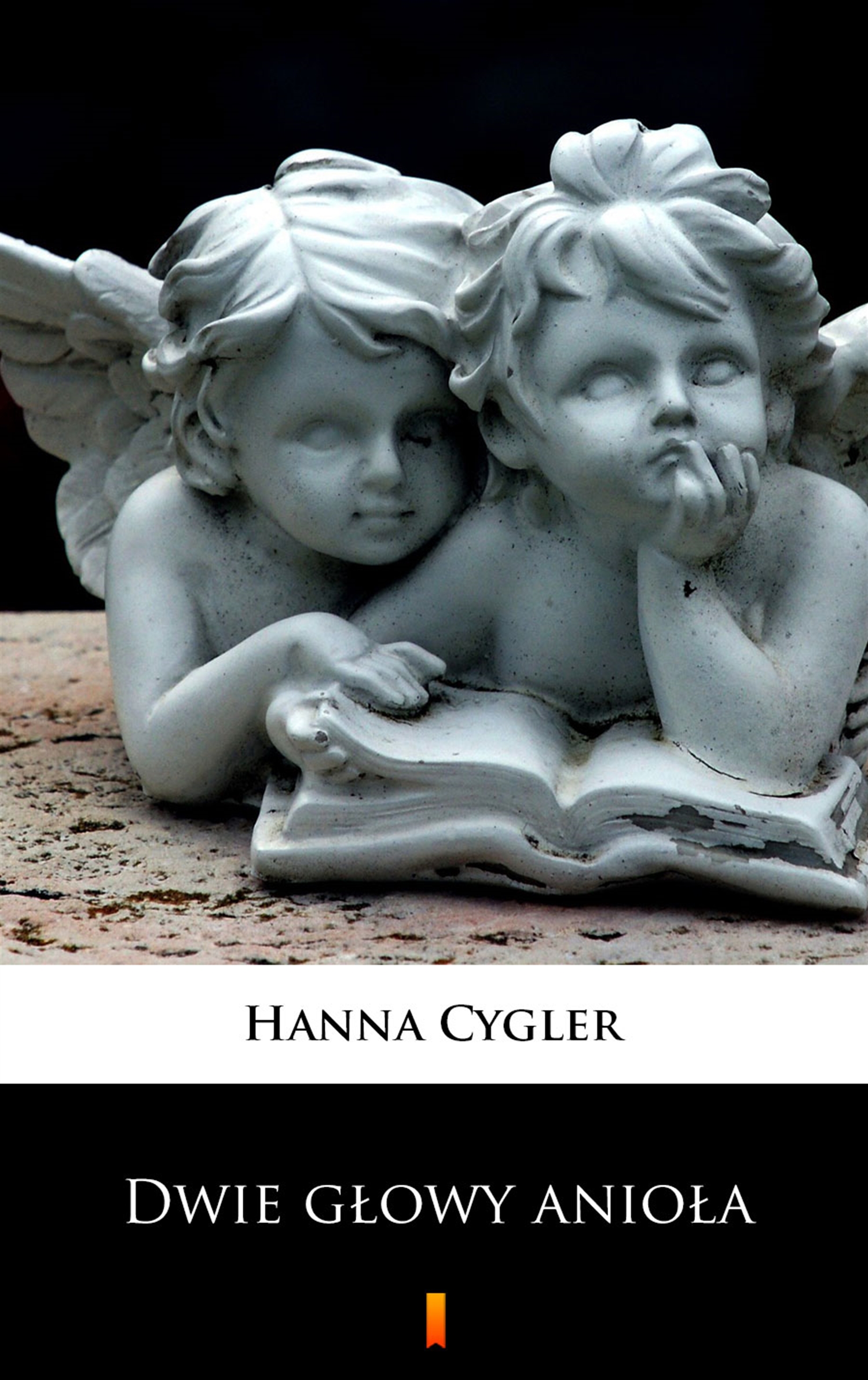 Tytuł: Dwie głowy anioła
Autor: Hanna Cygler
Wydawnictwo: KtoCzyta.pl
Formaty: EPUB, MOBI