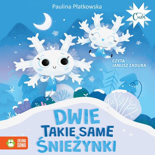 Tytuł: Dwie takie same śnieżynki
Autor: Paulina Płatkowska
Wydawnictwo: Zielona Sowa
Formaty: MP3