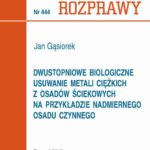 Dwustopniowe biologiczne usuwanie metali ciężkich z osadów ściekowych na przykładzie nadmiernego osadu czynnego — okładka e-booka
