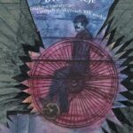 DYSLOKACJE. Studia o literaturze i innych dyskursach XIX wieku — okładka e-booka