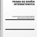 Działania naruszające prawa do domen internetowych — okładka e-booka