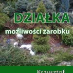 Tytuł: Działka. Możliwości zarobku
Autor: Krzysztof Lewandowski
Wydawnictwo: Wydawnictwo e-bookowo
Formaty: EPUB, PDF