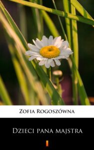 Dzieci pana majstra — okładka e-booka