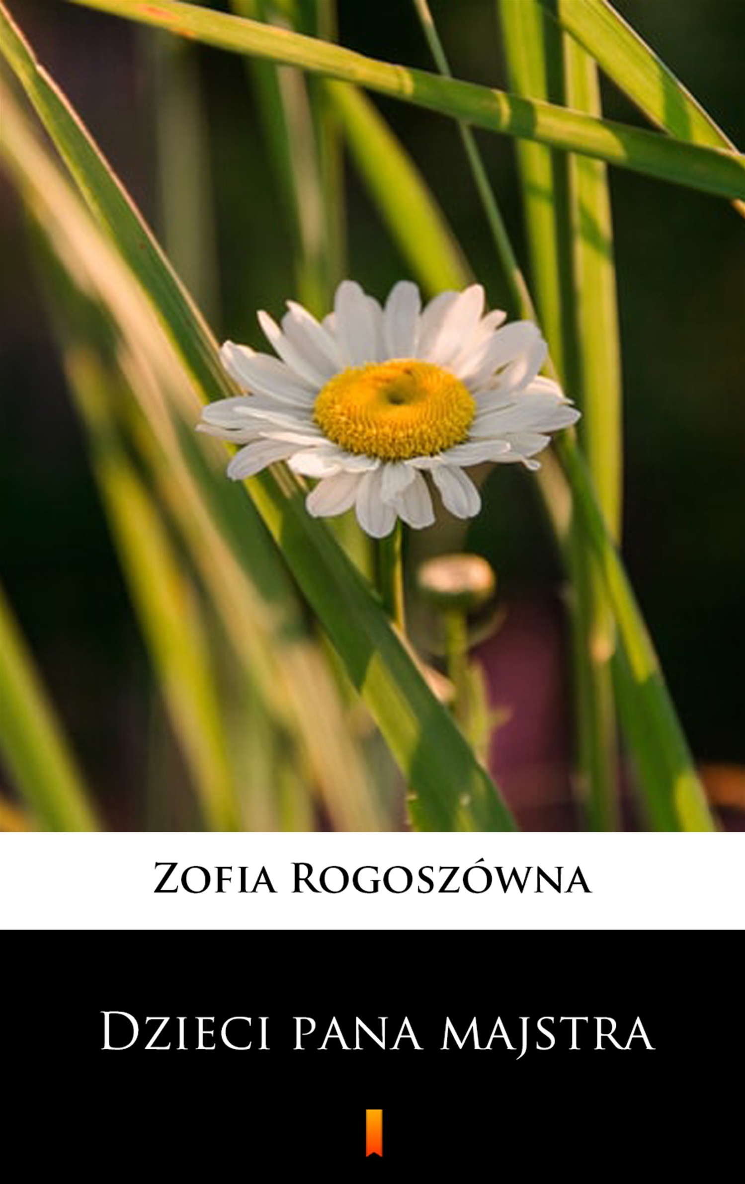 Tytuł: Dzieci pana majstra
Autor: Zofia Rogoszówna
Wydawnictwo: KtoCzyta.pl
Formaty: EPUB, MOBI