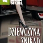 Dziewczyna znikąd — okładka e-booka