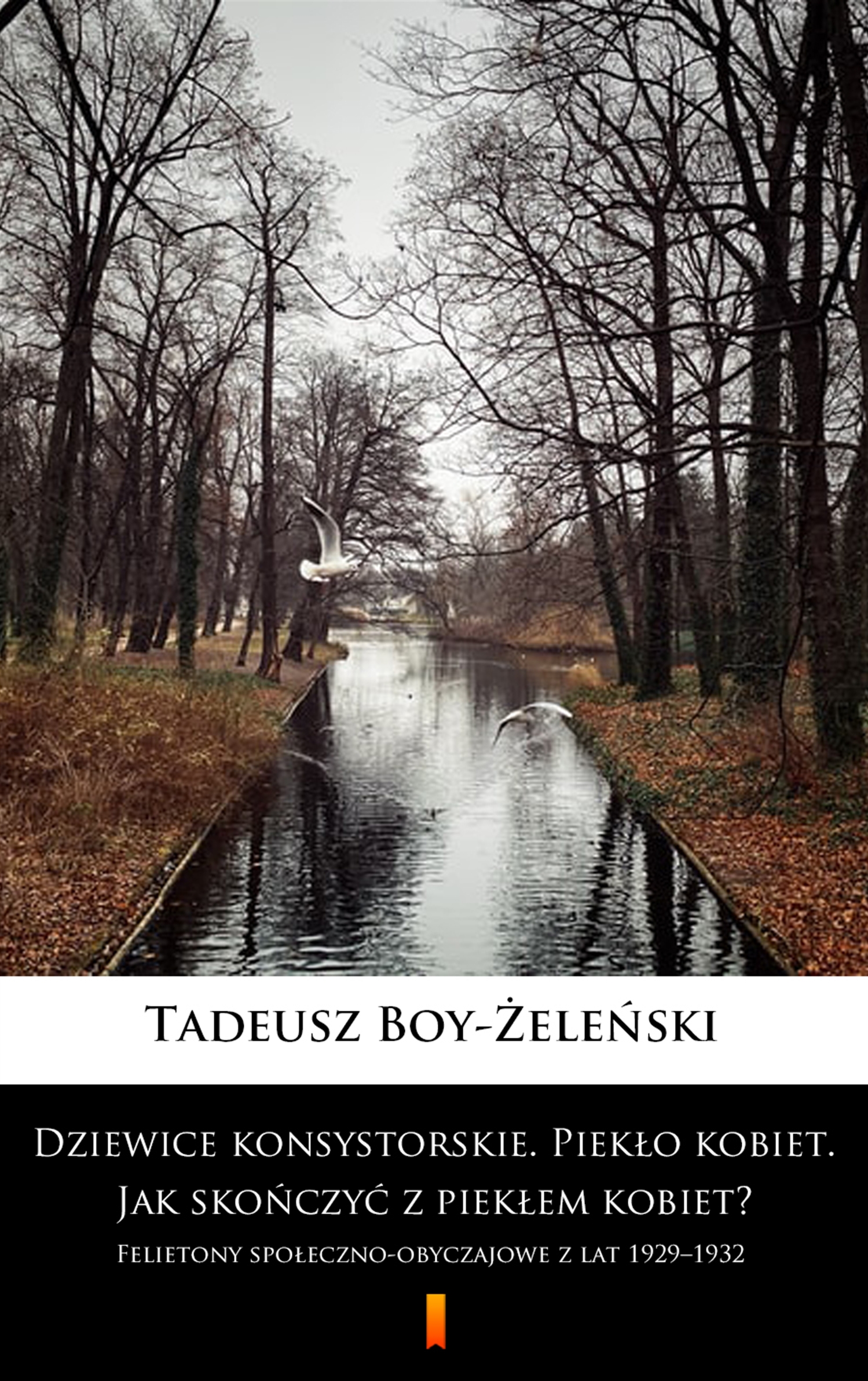 Tytuł: Dziewice konsystorskie. Piekło kobiet. Jak skończyć z piekłem kobiet?. Felietony społeczno-obyczajowe z lat 1929–1932
Autor: Tadeusz Boy-Żeleński
Wydawnictwo: KtoCzyta.pl
Formaty: EPUB, MOBI