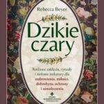 Dzikie czary — okładka e-booka